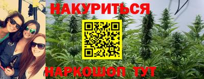 a pvp Новокубанск