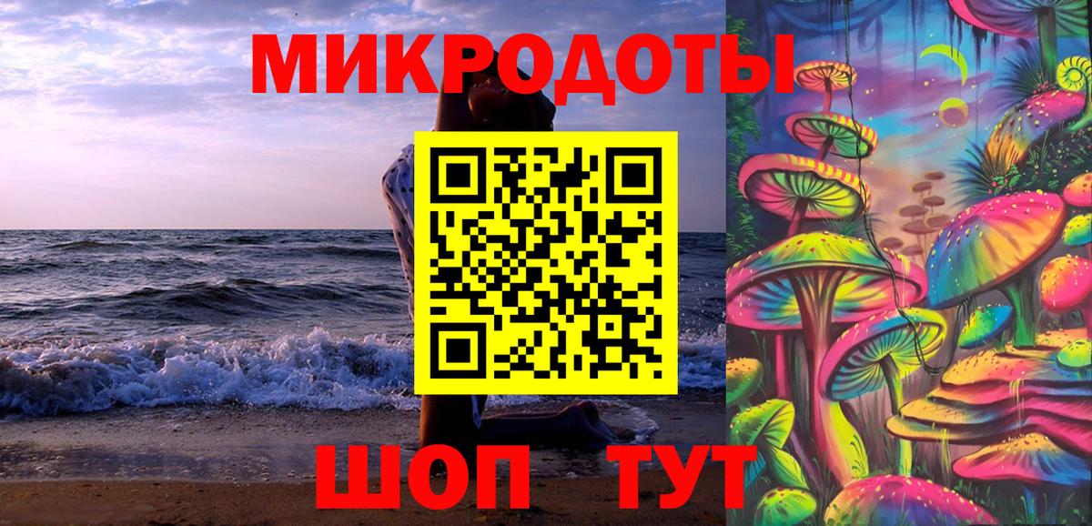 Тимашёвск  Псилоцибиновые грибы Psilocybe  Вход с VPN 